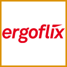 Logo Ergoflix