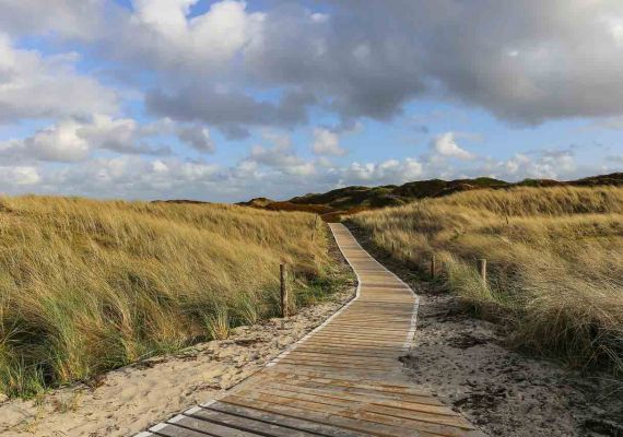 Deutschland_Nordsee_St._Peter-Ording_Windschur_10